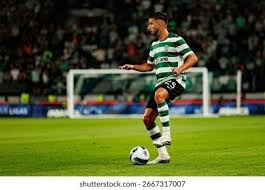 2023 赛季：天使队在赛季中段选择不交易大谷翔平，力拼季后赛但最终失败